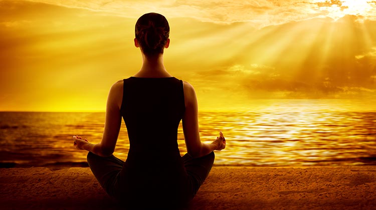 Best Mindfulness Courses & Classes