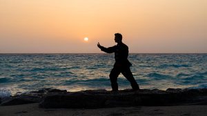 Read more about the article Best Online Tai Chi Classes [2022]